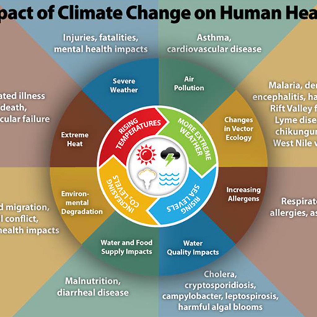 Climate Change and Health - Information Session #1 promotional image